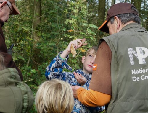 26 juli | sPeelse Beleeftocht