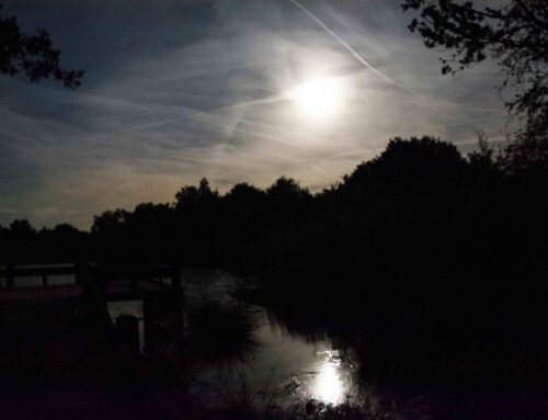 7 oktober | Volle Maan-wandeling