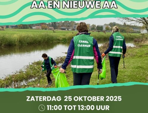 Canal Clean Up