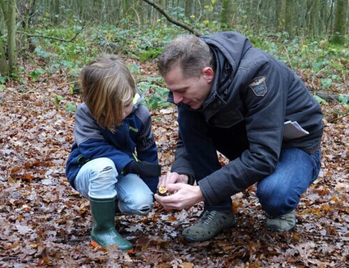 Kerstvakantie | Speuren naar Sporen