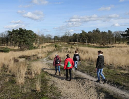 28 december | Luister naar de stilte