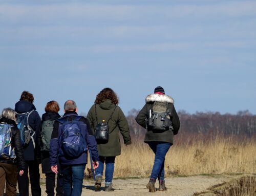 31 december | Wandel het jaar uit