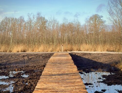 Openingstijden kerstvakantie