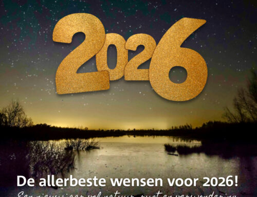De beste wensen voor 2026