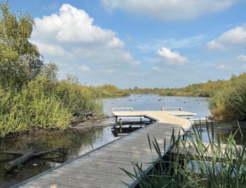 25 januari | Winterse Stiltewandeling