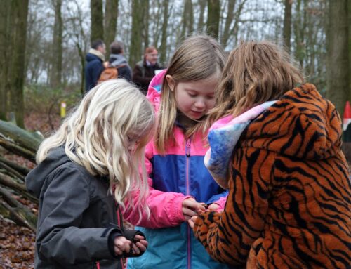 18 & 20 februari | Diersporen in de Peel