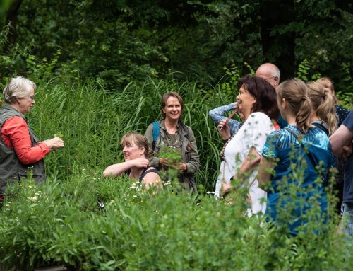 2 augustus | Kruidenexcursie