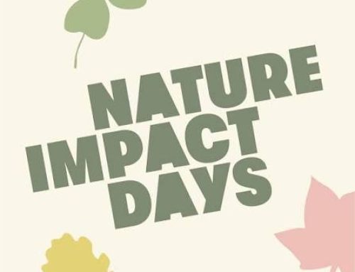 17 oktober | Nature Impact Day